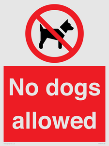 No dogs allowed